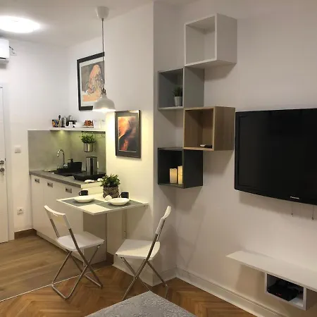 Vracar Apartment