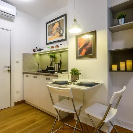 Apartment Vracar Belgrade